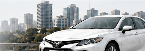 Auto MeCAR con plataforma GPS